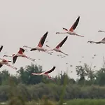 Valgrande Bibione Casone