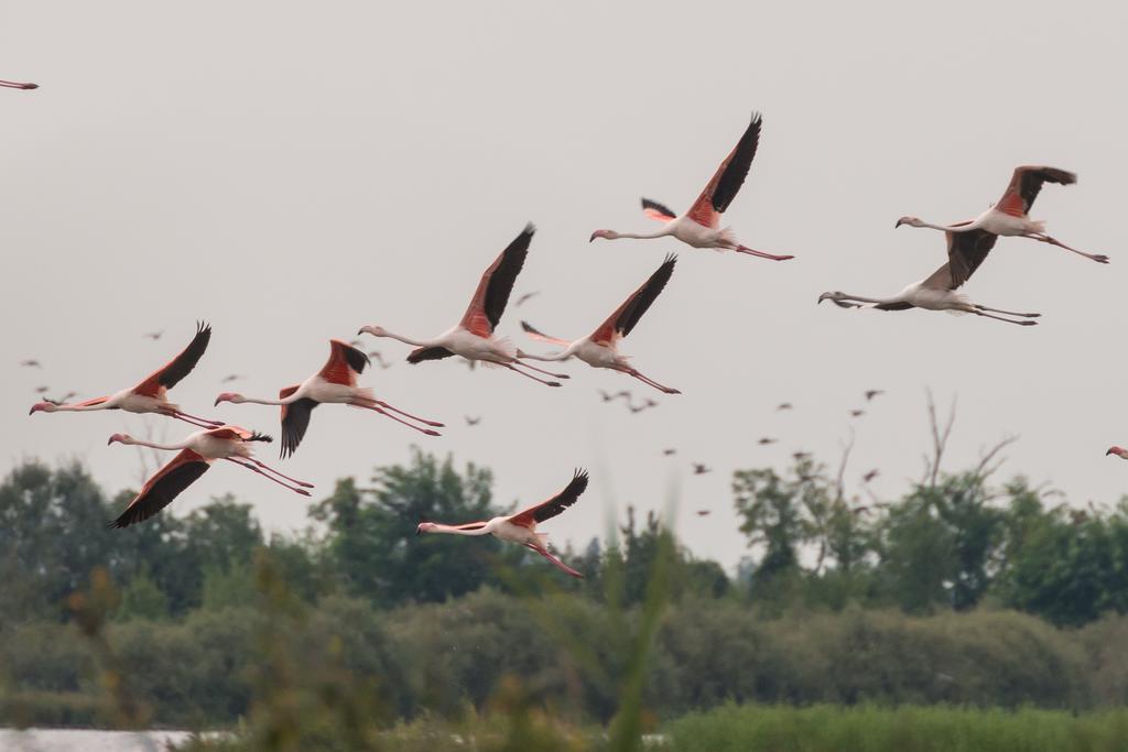 Bauernhof Valgrande Casone Bibione